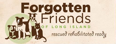 forgotten friends of long island